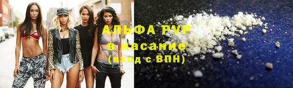 крисы Алзамай