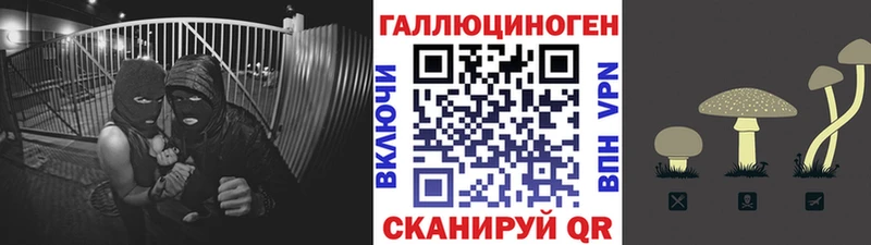 Псилоцибиновые грибы мицелий где продают Бабушкин
